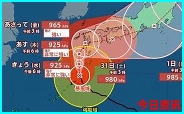 最新2025官方入口年领取天天汇总免费正版资料全新发布-管家婆一肖一码王中王